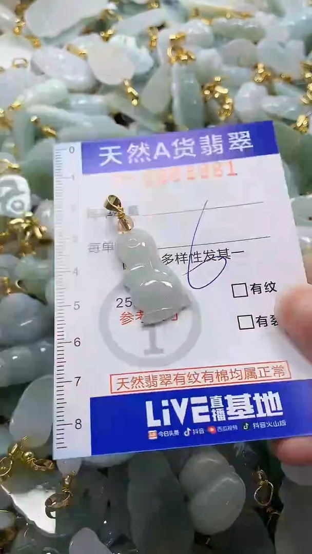 颈饰未镶嵌翡翠纯天然a货翡翠