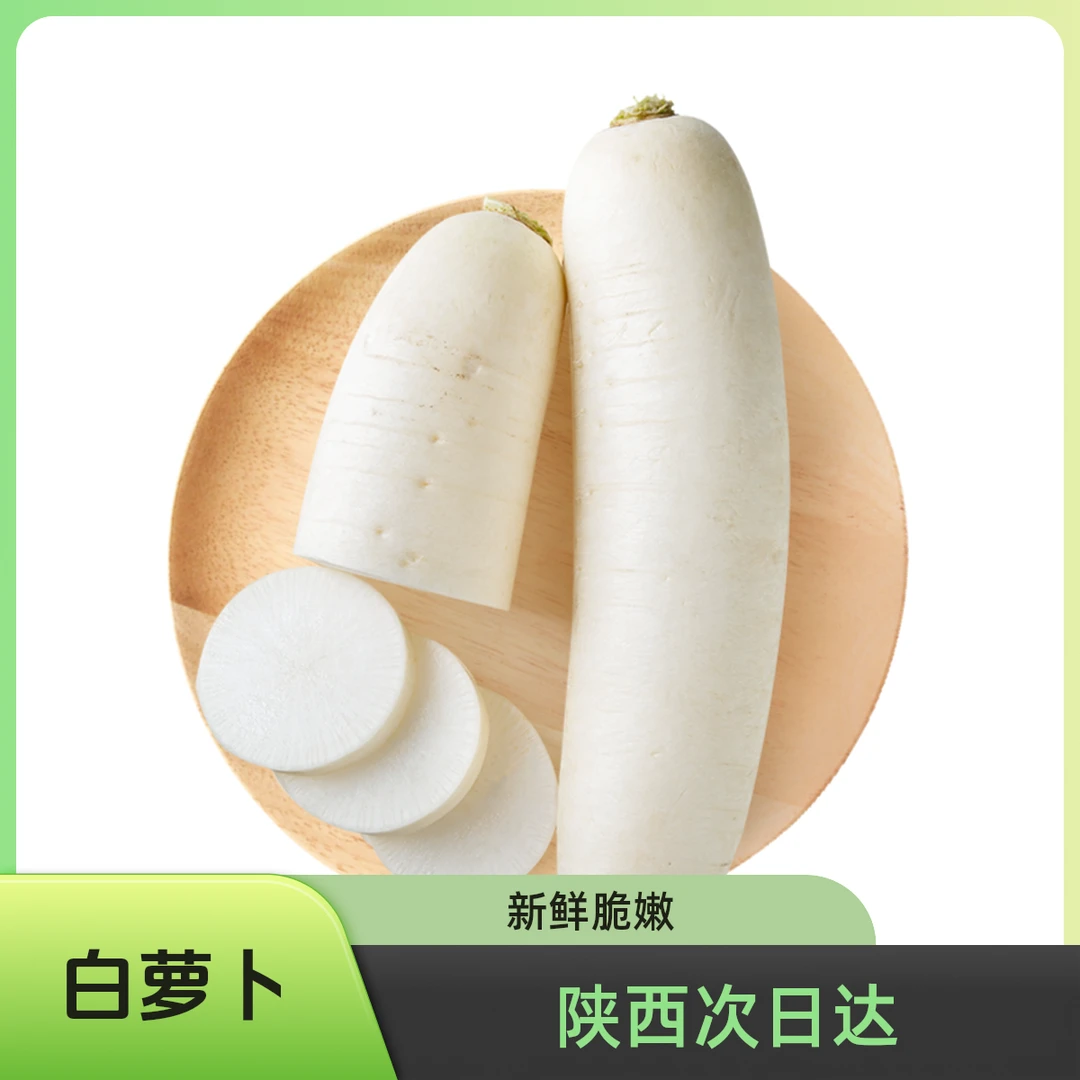 （陕西次日达）新鲜白萝卜750g 供应链直发