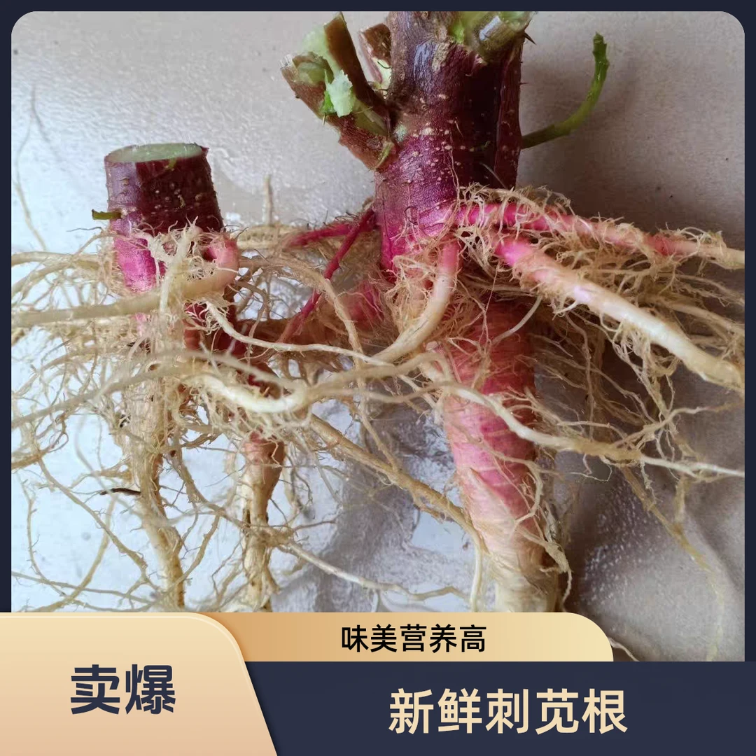 新鲜野刺苋根  红刺苋根  刺苋根 刺苋头 刺苋菜 苋菜头 刺簕头根