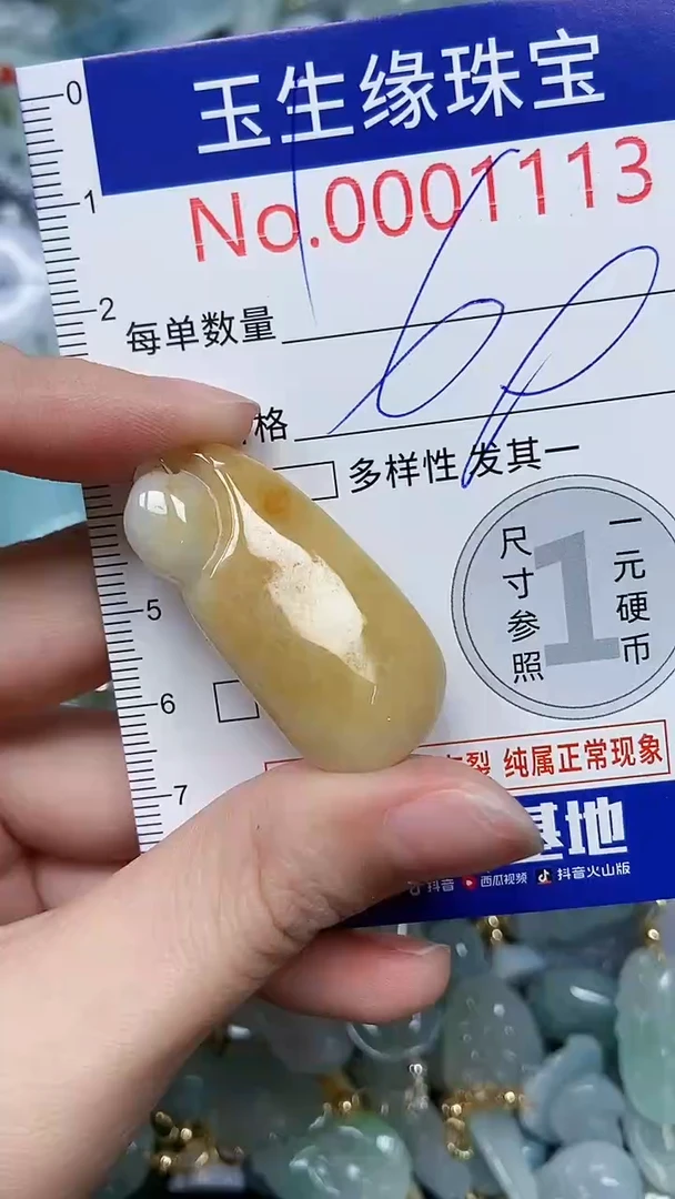 【闪购商品】翡翠颈饰未镶嵌闪购00001113