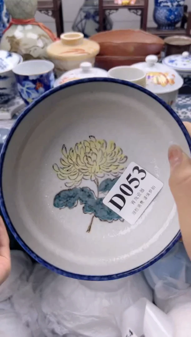 瓷片P*     D053