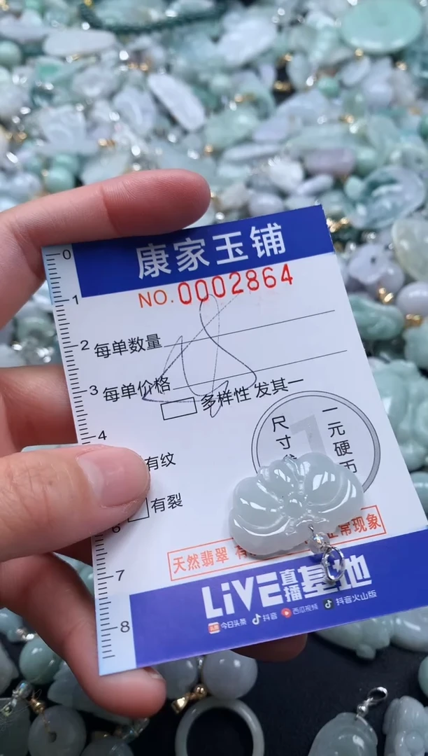 颈饰未镶嵌翡翠2864