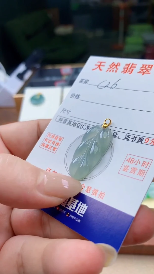 颈饰未镶嵌翡翠天然A货翡翠挂件