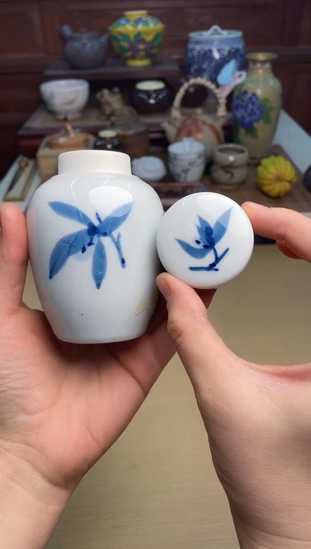 211号直播专用链接