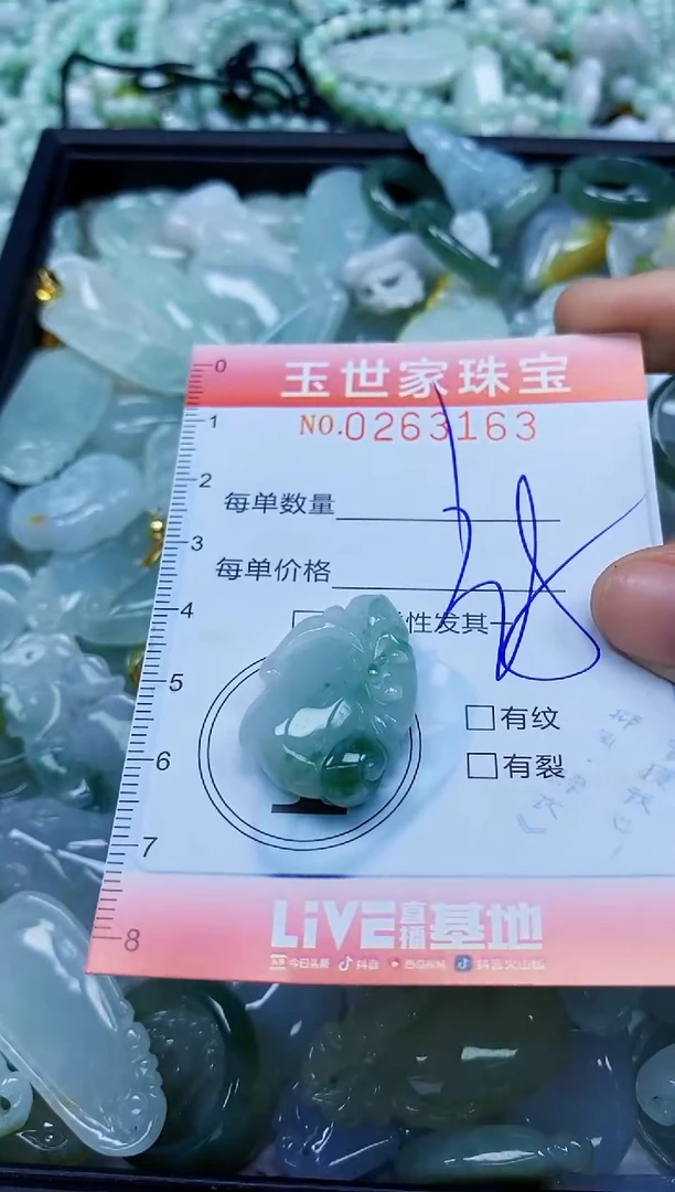 翡翠未镶嵌颈饰闪购0263163