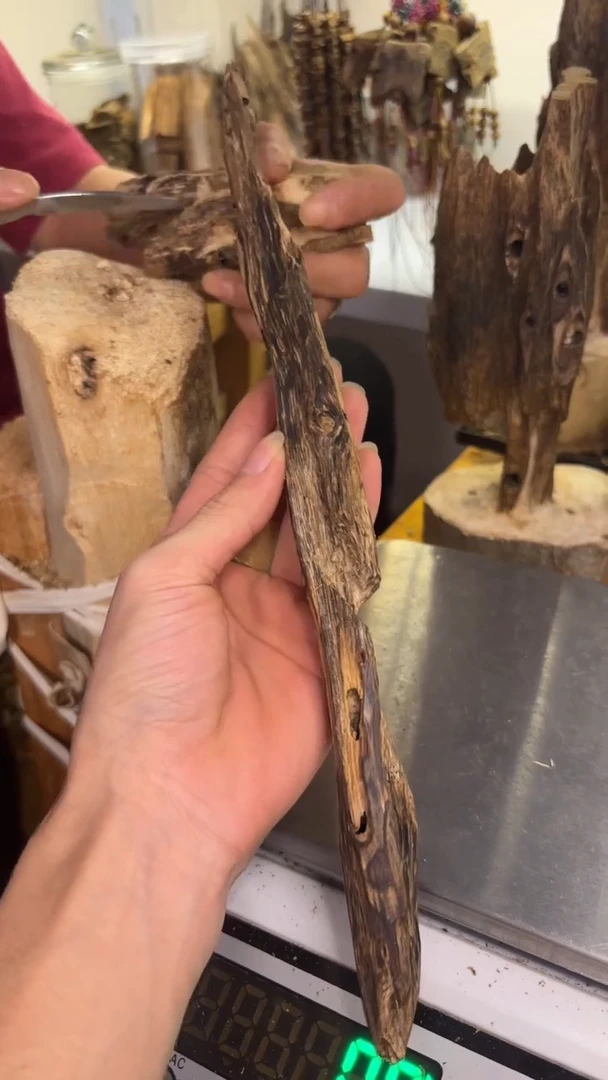 沉香沉香碎屑张勺子品种