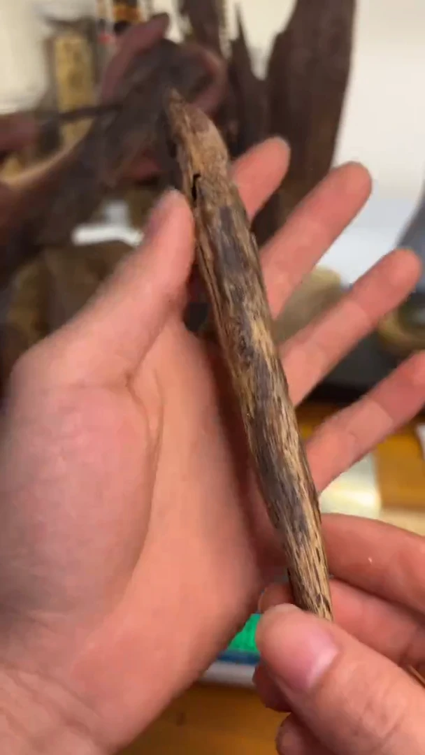 沉香沉香碎屑陆河品种11.5