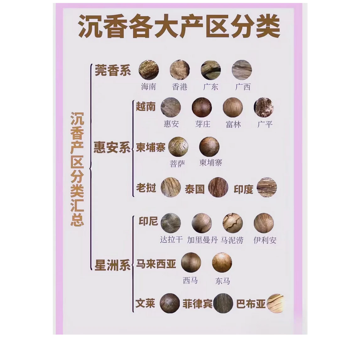 沉香蚁王--精品精选好物014