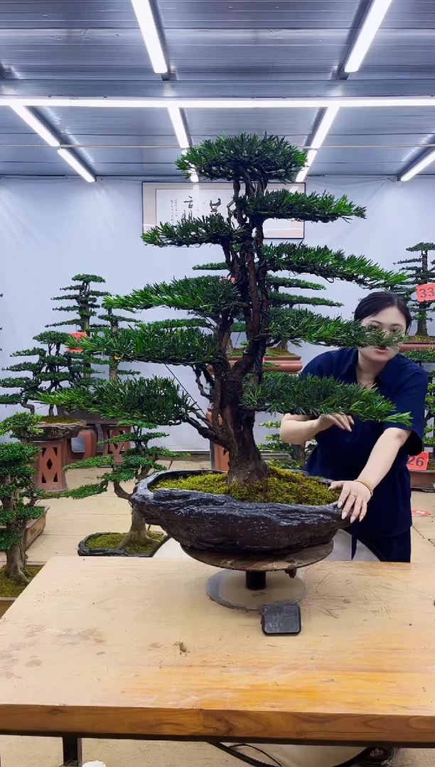 无花朵一物一拍，所见即所得