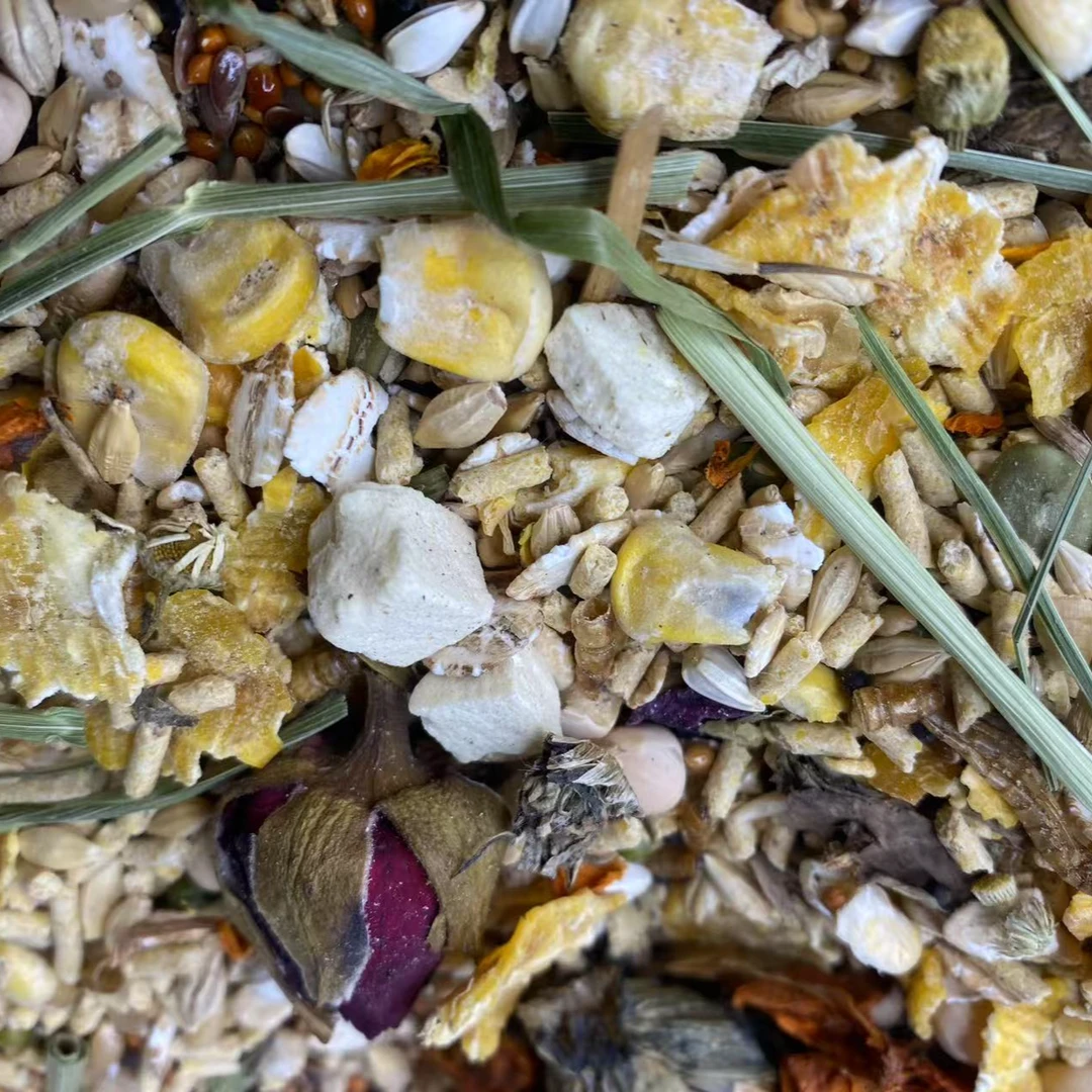 德系全价金丝熊主粮美毛护肤长肉呵护肠道无糖低脂自配粮