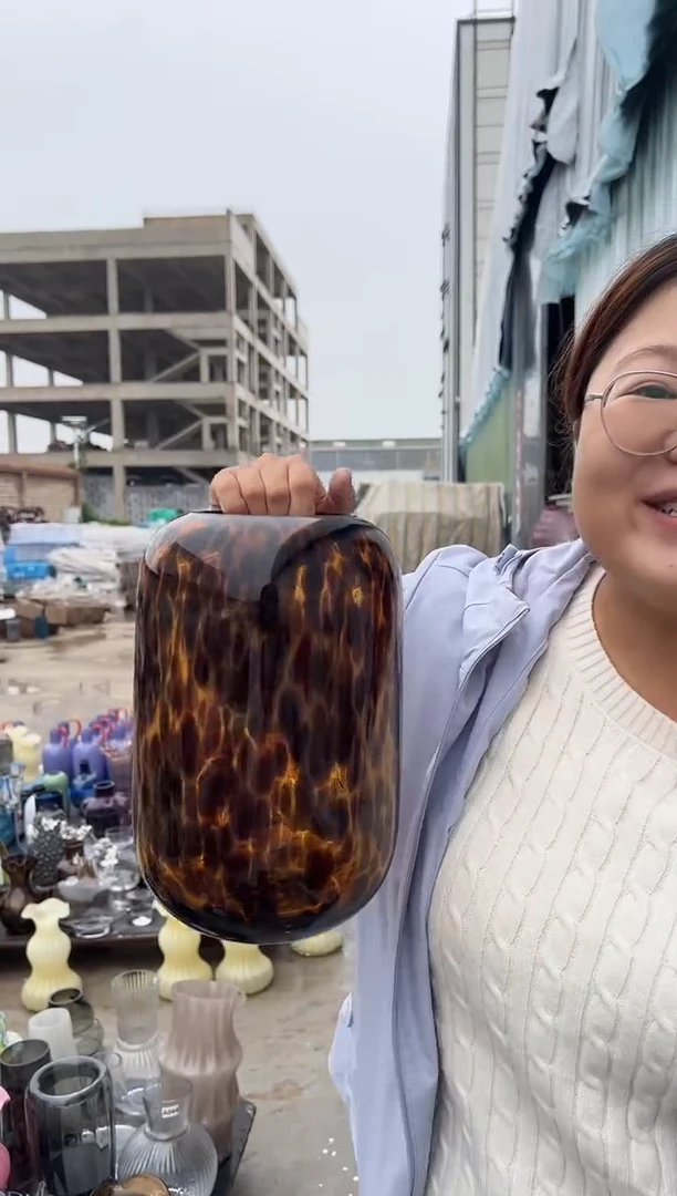花瓶客厅餐桌插花装饰好物大