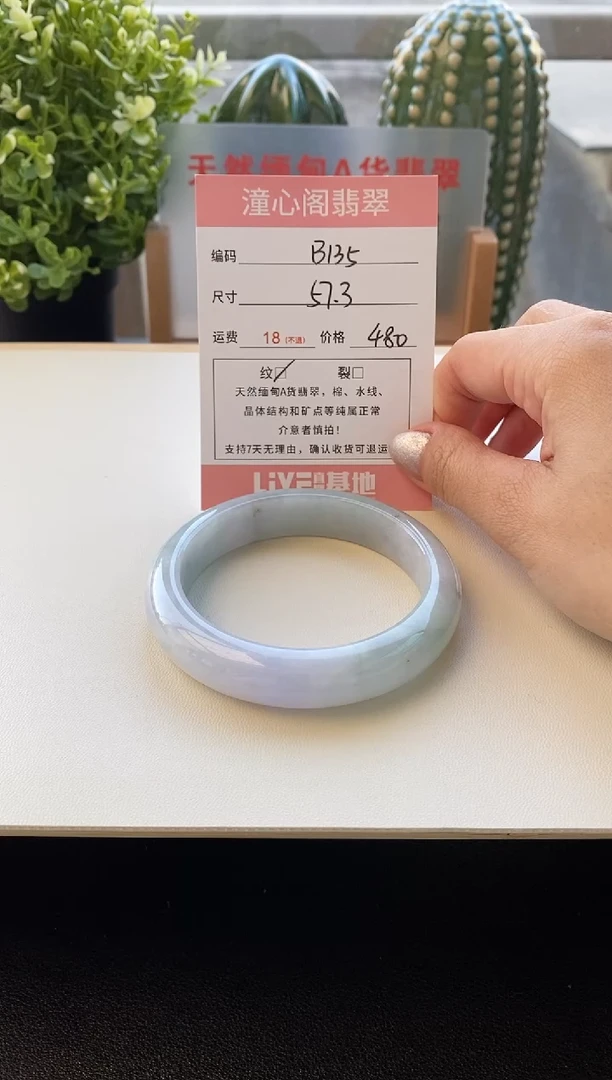 颈饰未镶嵌翡翠圈口57.3编码b135