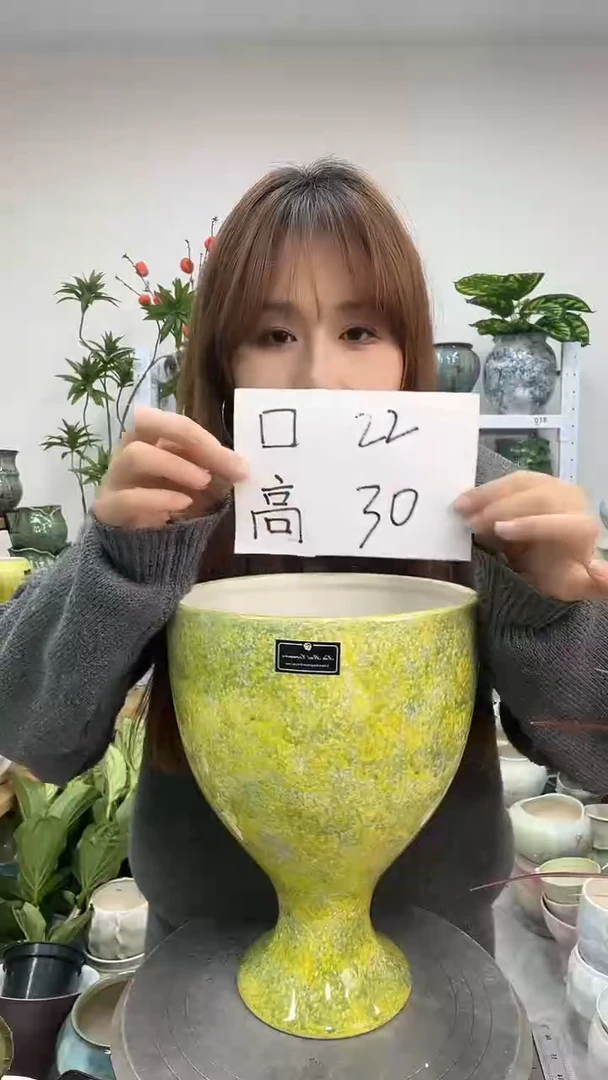 11.22陶瓷花盆直播链接高.      口