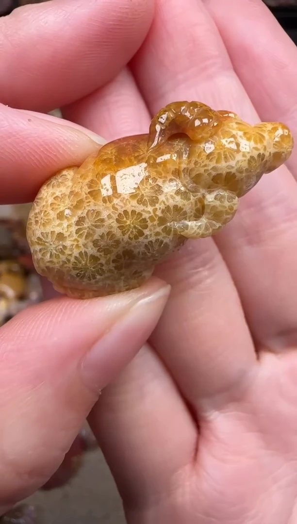 颈饰未镶嵌硅化珊瑚（珊瑚玉）808