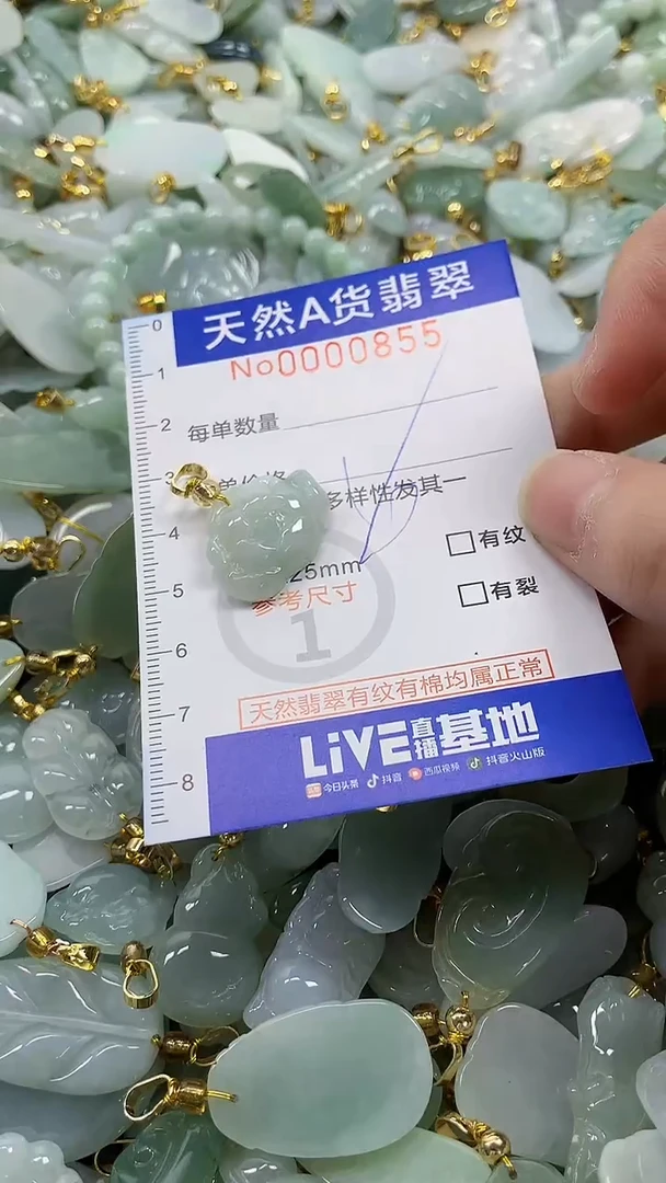 颈饰未镶嵌翡翠纯天然a货翡翠