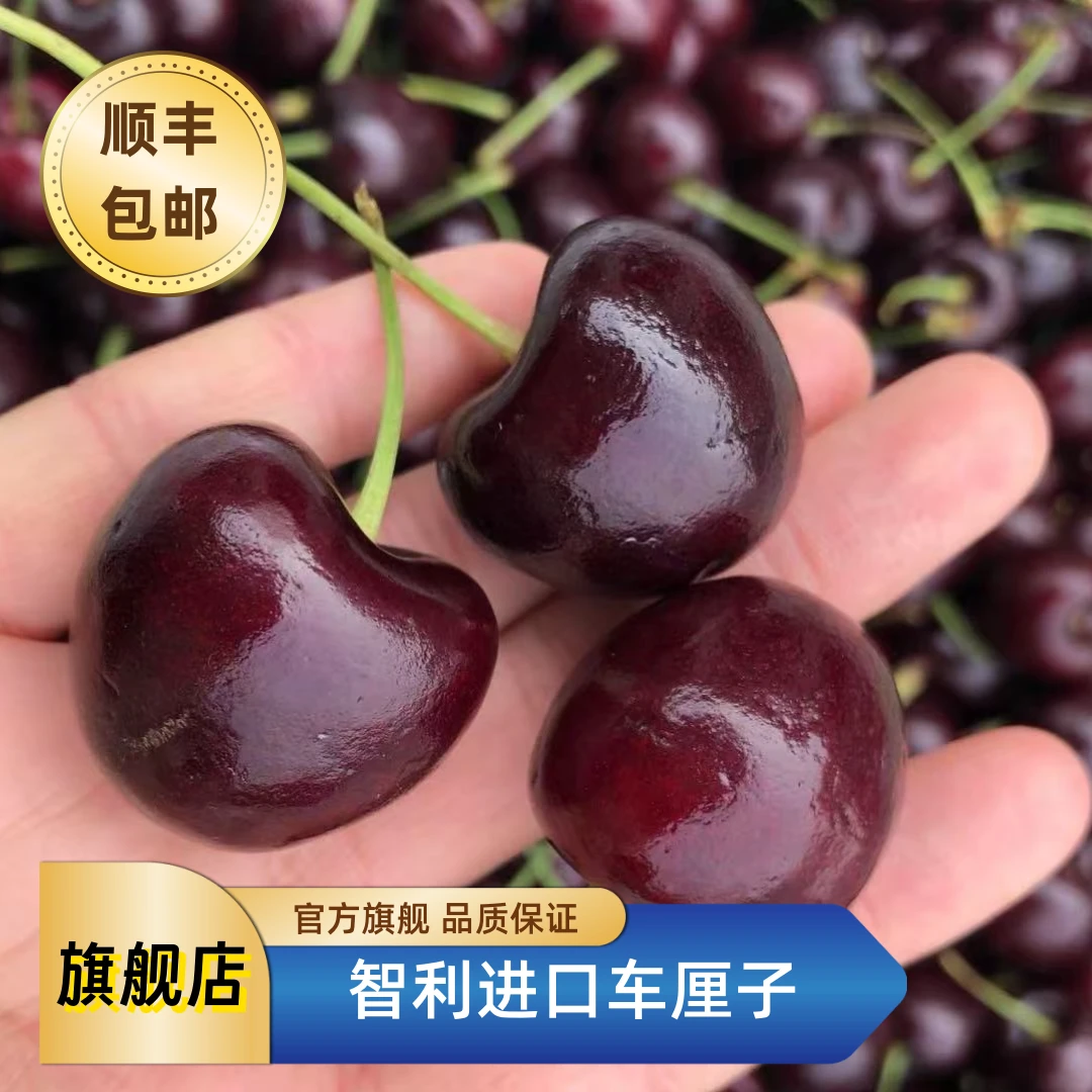 【双旦浮力】1-6J智利海运车厘子2斤进口水果当季新鲜 内附果径卡