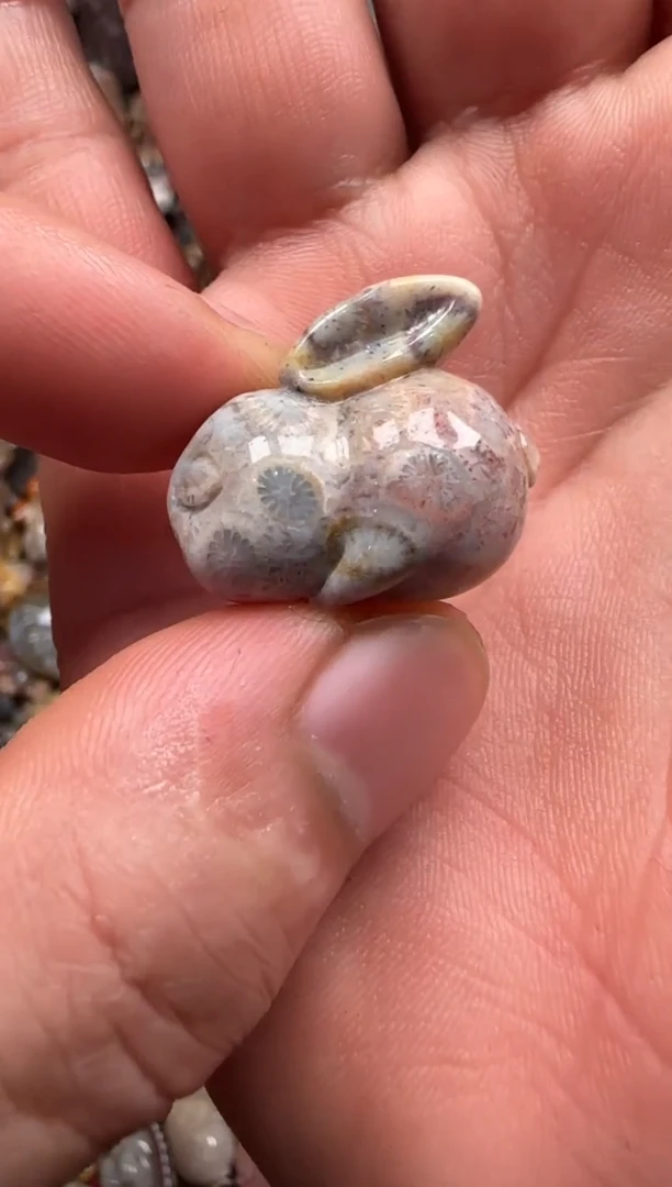【闪购商品】硅化珊瑚（珊瑚玉）颈饰未镶嵌190