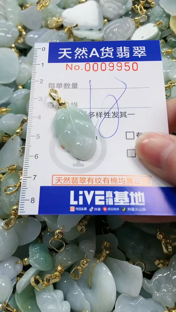 颈饰未镶嵌翡翠纯天然a货翡翠