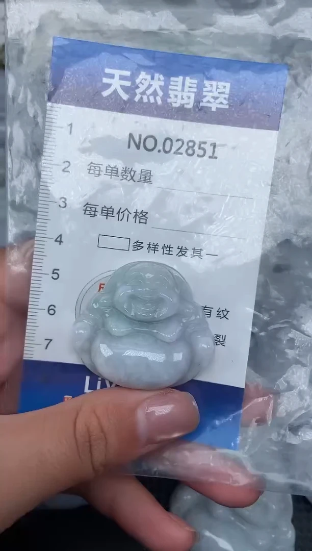 颈饰未镶嵌翡翠纯天然A货翡翠2851