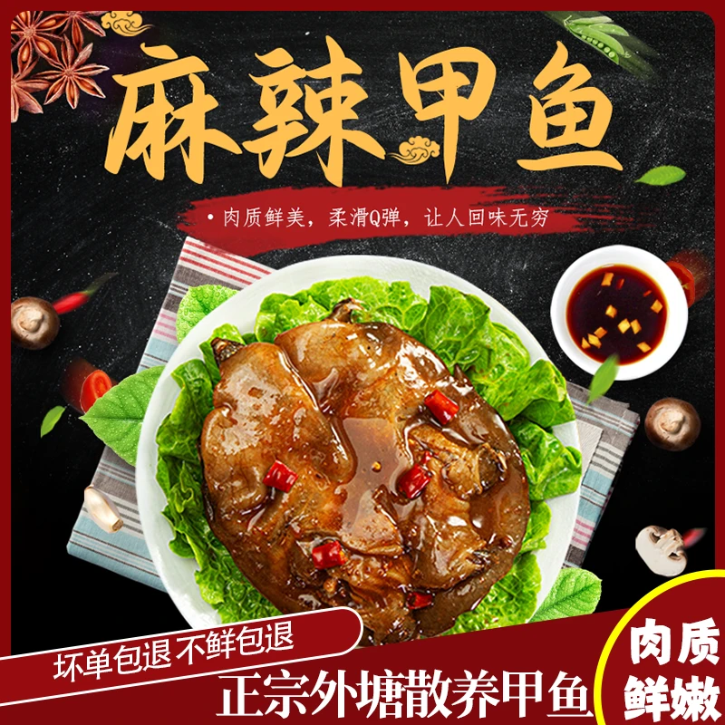 【新人专享】好甲鱼认准甲鱼先生 卤香甲鱼整只鲜活现卤鲜美滋补