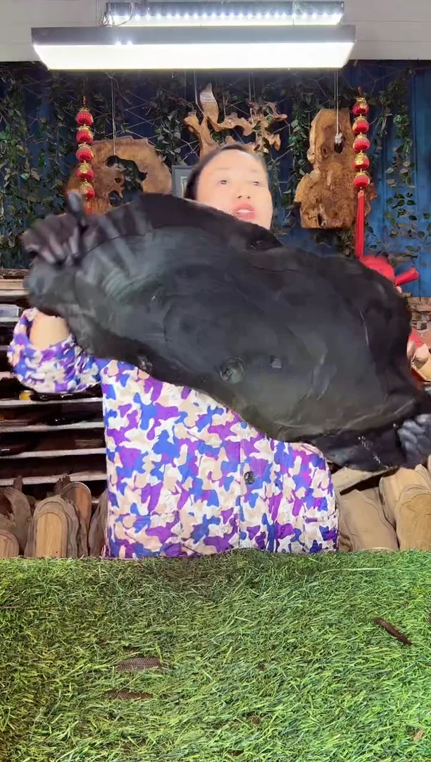 金丝楠小叶桢楠58