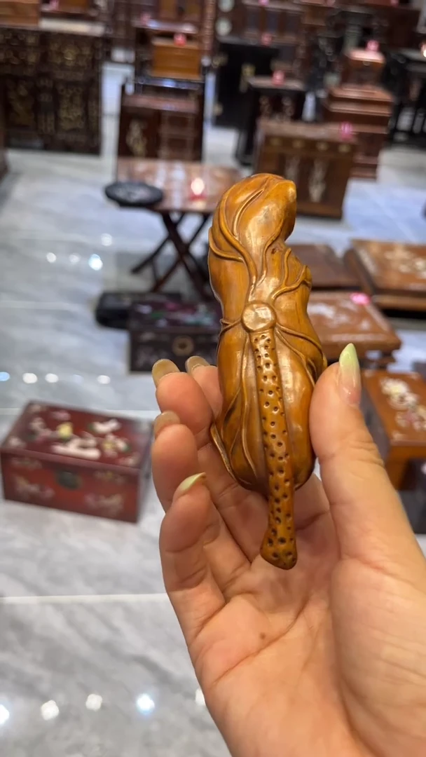 木小叶黄杨 茶禅