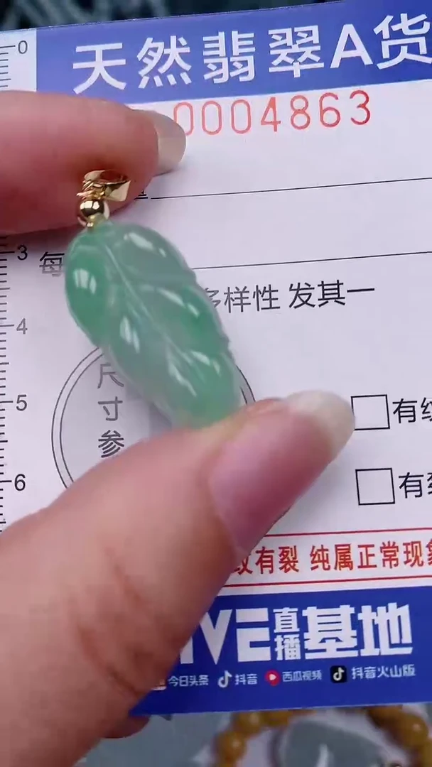 翡翠未镶嵌颈饰00004863