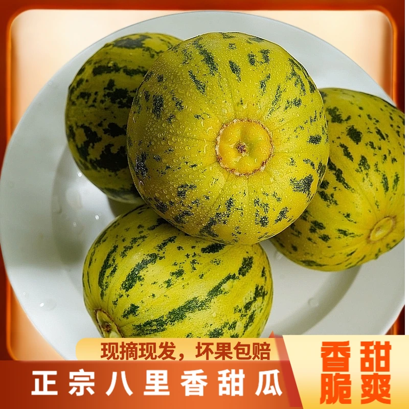 【顺丰包邮】正宗八里香香瓜脆甜多汁甜瓜新鲜现摘应季时令水果