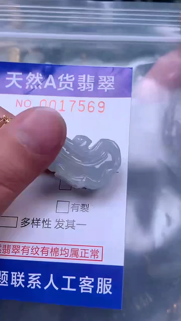 吊坠(赠链)未镶嵌翡翠1