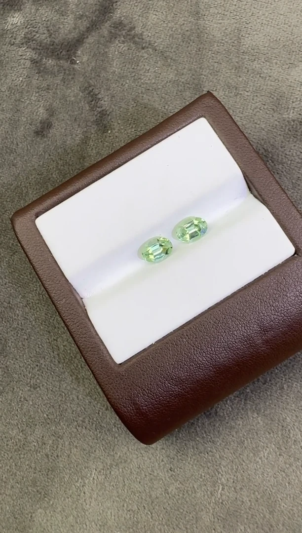 【闪购商品】碧玺珠宝奇石未镶嵌一对