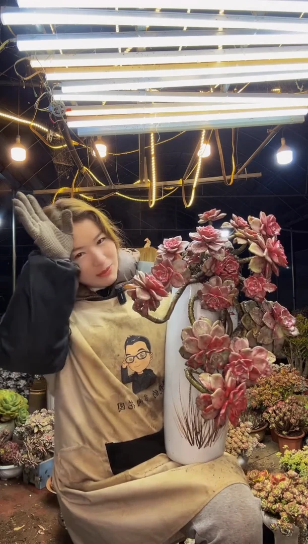 【闪购商品】飘枝紫乐脱土包邮