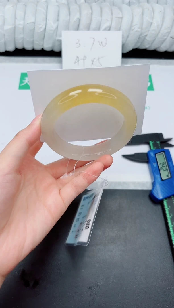 未镶嵌手镯石英质玉196-58.7HL