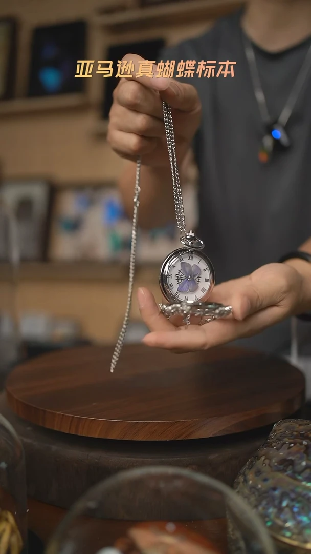 珍贵妩灰蝶标本怀表
