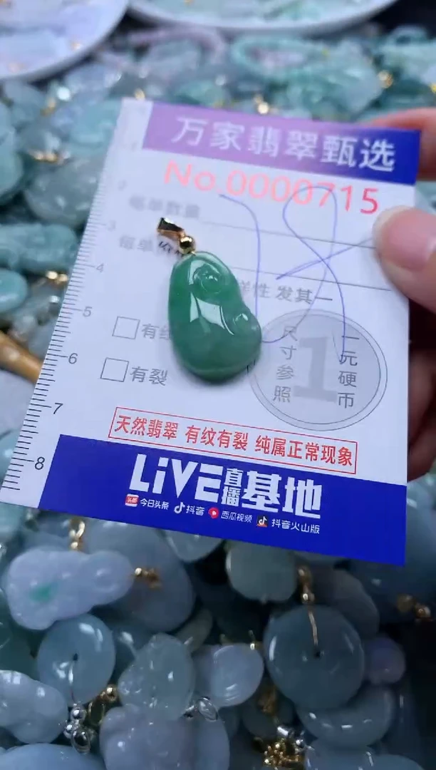 翡翠未镶嵌吊坠(不含链)715