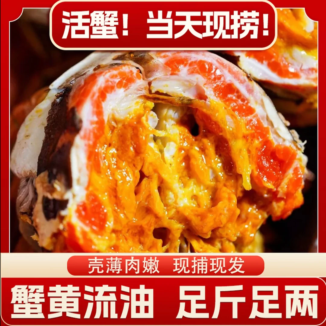 【活蟹现发】精品大闸蟹全母3.3-3.0两大闸蟹8只