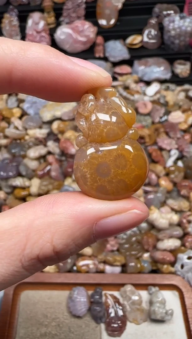 颈饰未镶嵌硅化珊瑚（珊瑚玉）224