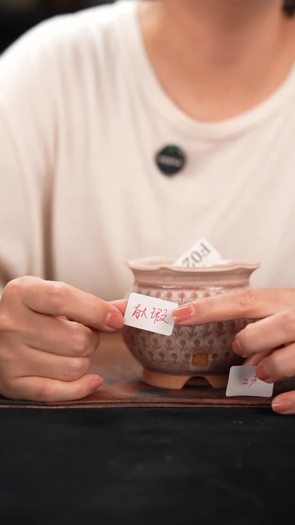 7-25-024花盆口径6