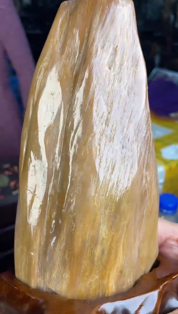未镶嵌摆件硅化玉6