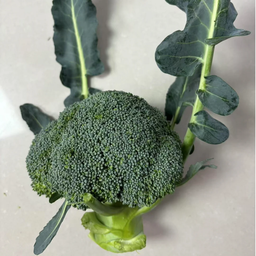 露天农家种植西兰花2斤3斤4斤包邮