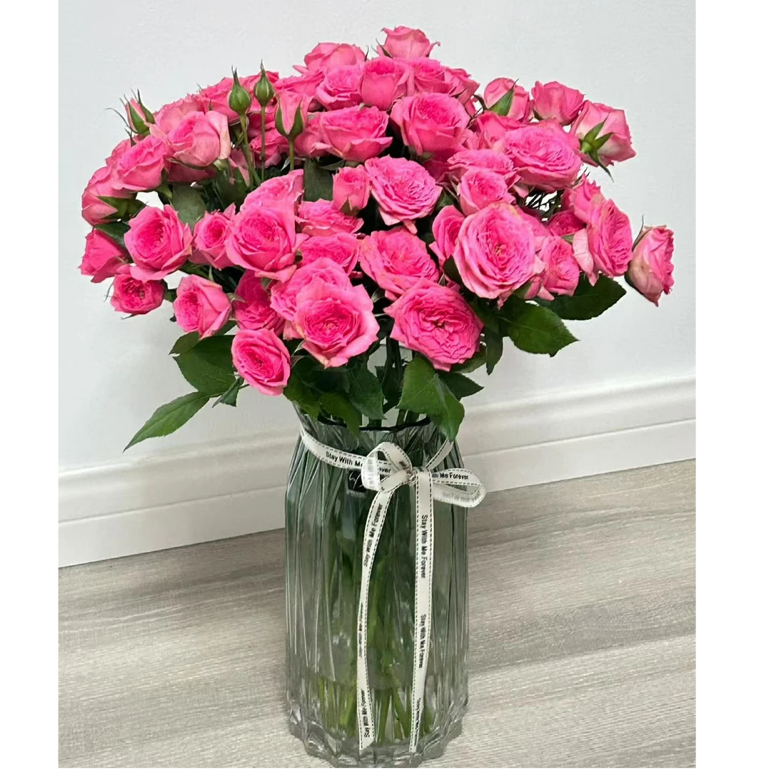 多头玫瑰苏菲宝贝（次日达）鲜花瓶插花五支