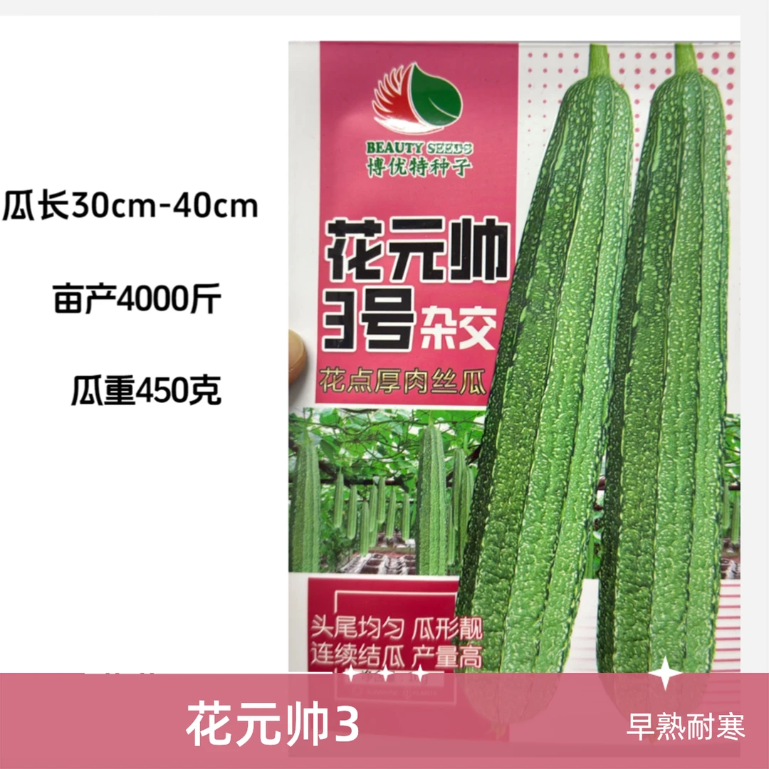 早熟耐寒花元帅3号大花点丝瓜，20几天来瓜，瓜长30到40公分菜苗
