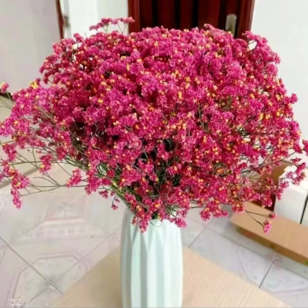 【不含花瓶】红水晶云南基地直发红水晶干花花束半干植物家具装饰