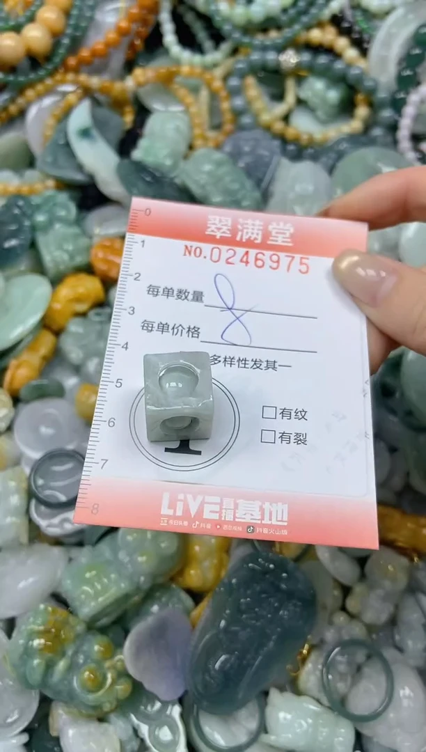 未镶嵌挂件翡翠闪购0246975