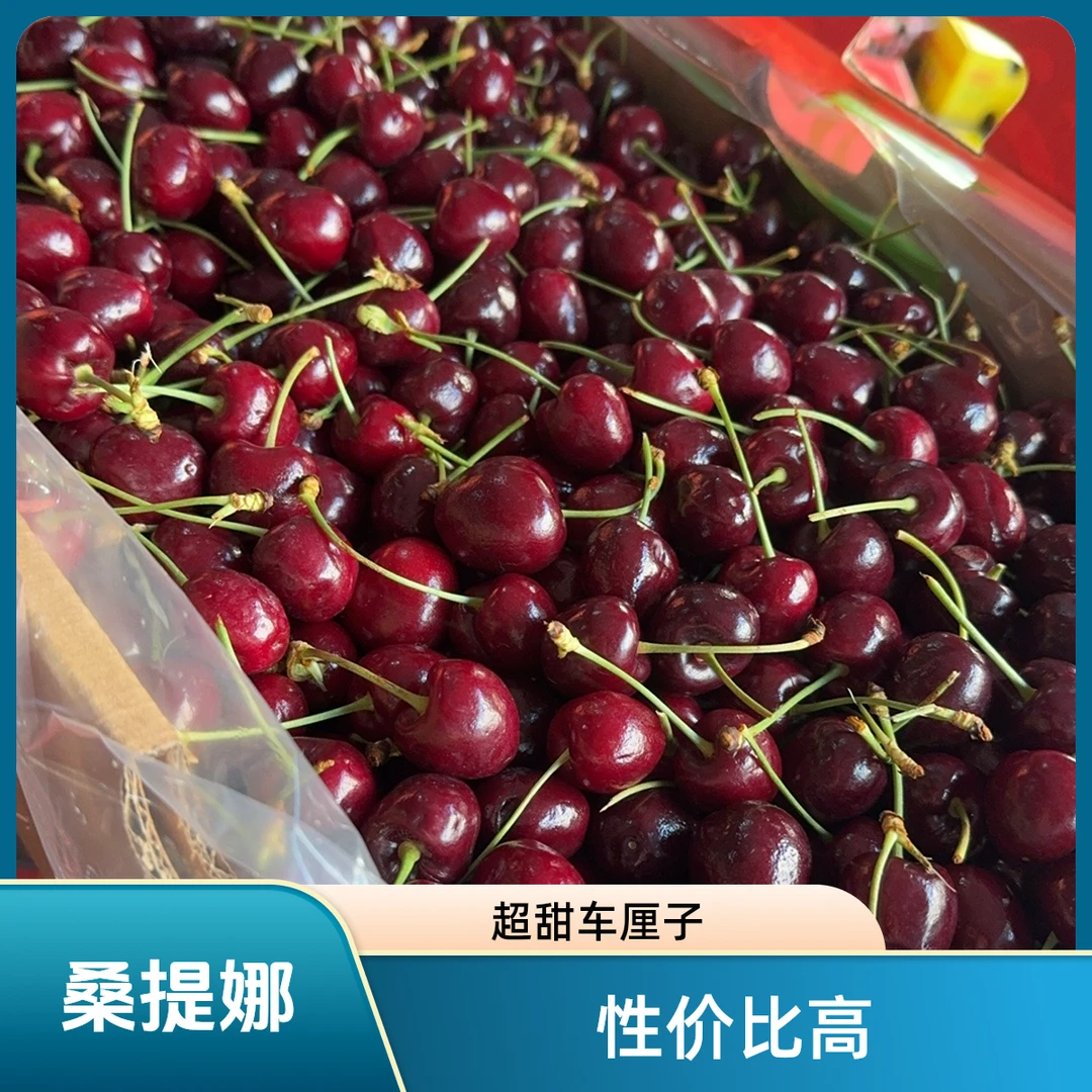 桑提娜XLD车厘子一盒一斤左右单J大小