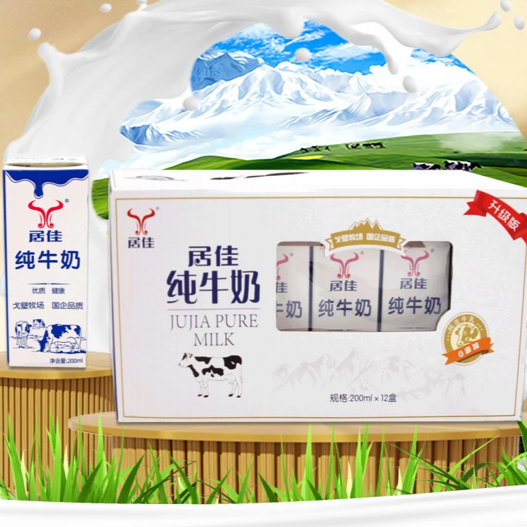 居佳纯牛奶清真无添加整箱12盒早餐营养适合学生特价包邮西北牧场