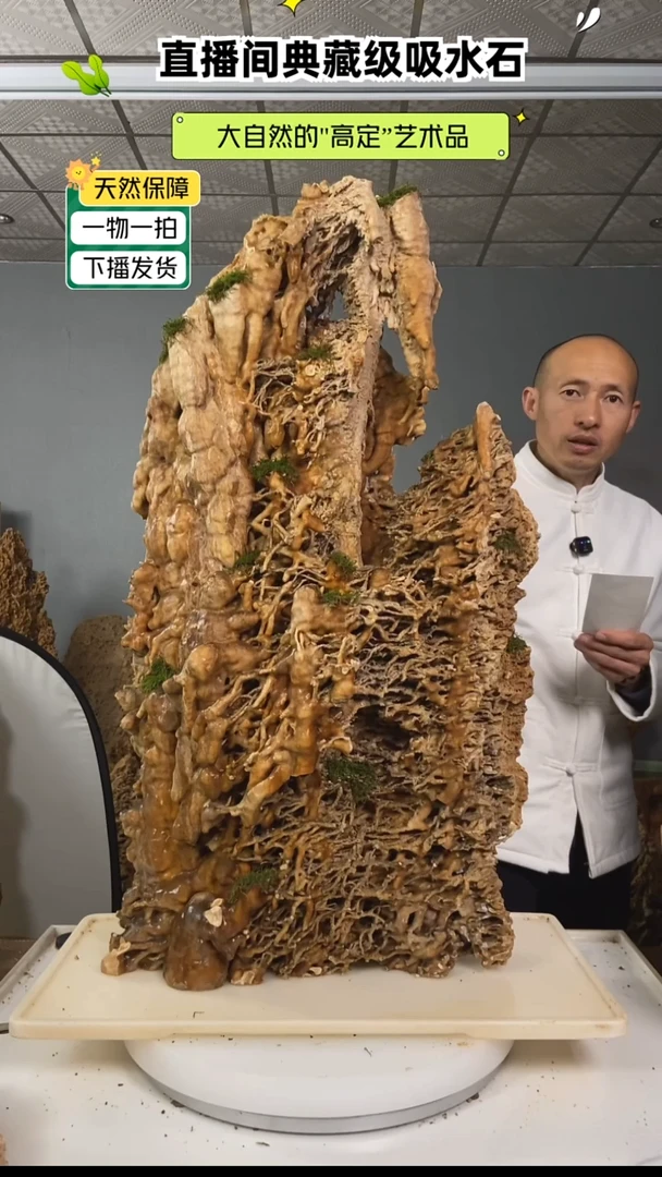 石头@**锋吸水石上水石盆景9999999