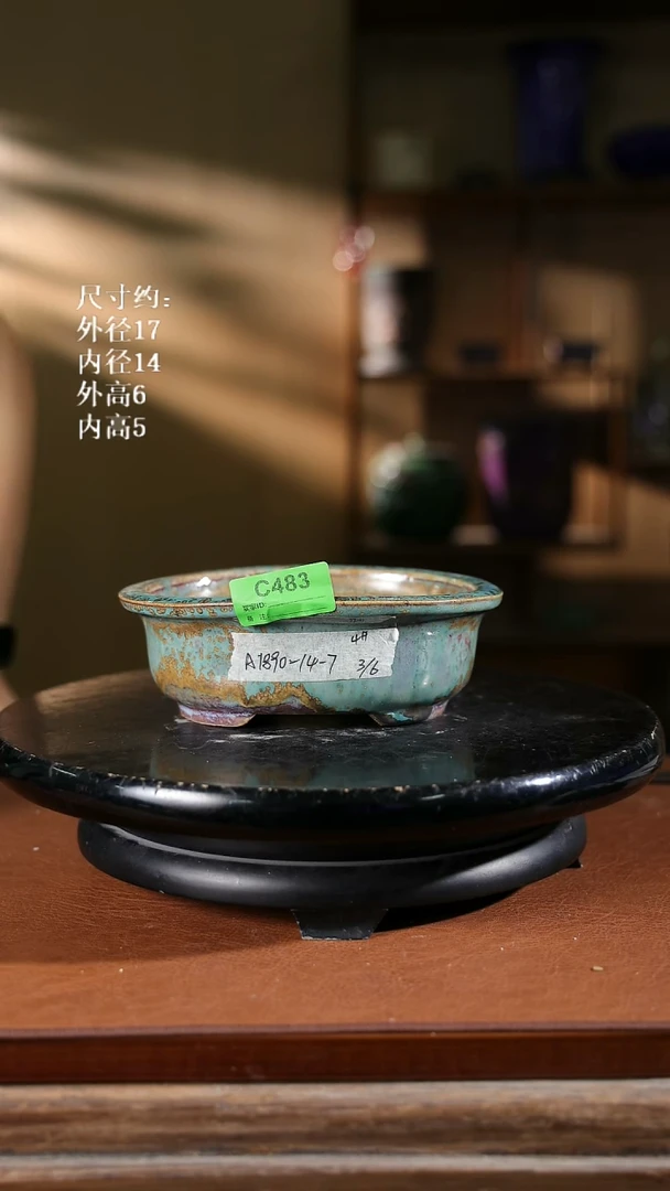 6.5寸椭圆盆 483