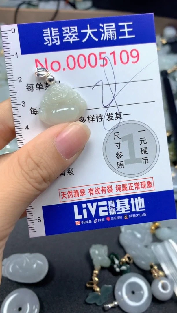 翡翠未镶嵌吊坠(不含链)5109