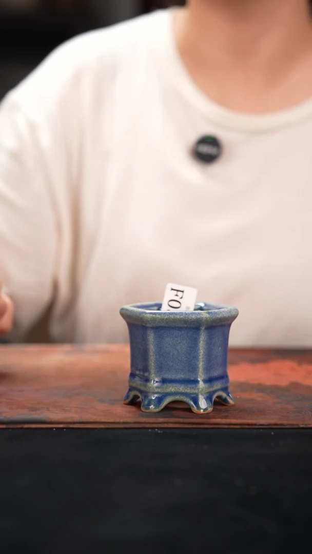 7-25-030花盆口径4.5团粉发两个