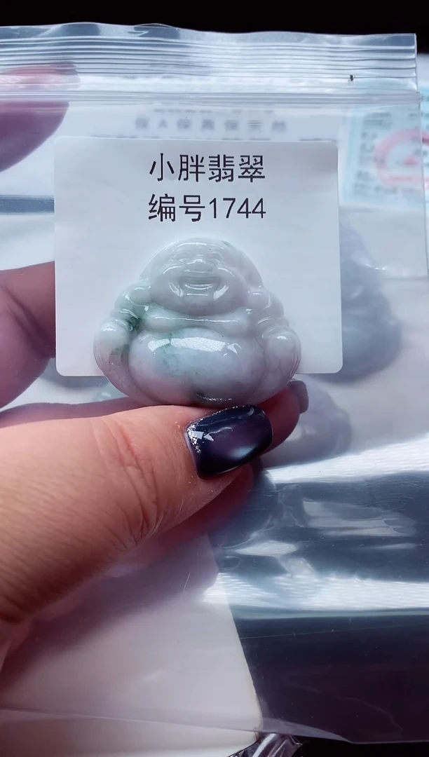 颈饰未镶嵌翡翠缅甸天然A货翡翠1744